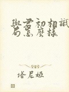 与君初相识大结局怎么样封面