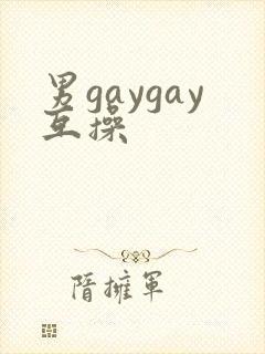 男gaygay互操封面