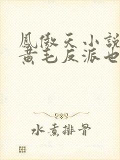 凤傲天小说里的黄毛反派也想幸福小说免费