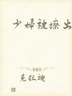 少妇被擦出高潮