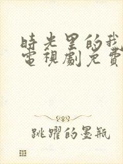 时光里的我们 电视剧免费观看