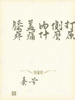 膝盖内侧打弯处疼痛什么原因