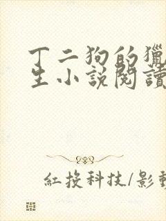 丁二狗的猎艳人生小说阅读封面