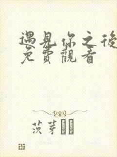 遇见你之后短剧免费观看