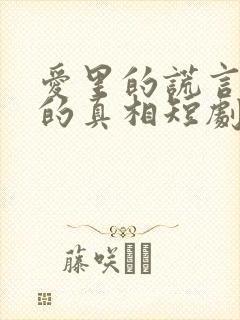 爱里的谎言仇恨的真相短剧免费