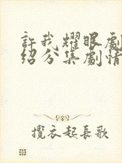 许我耀眼剧情介绍分集剧情介绍