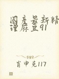 国产最新精品伦理麻豆91