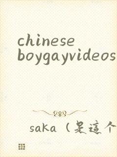 chineseboygayvideos