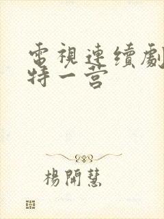 电视连续剧我的特一营