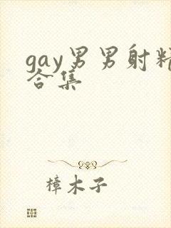 gay男男射精合集封面