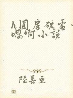 h圆房破处～h嗯啊小说封面