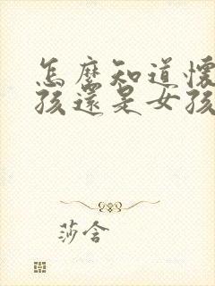 怎么知道怀的男孩还是女孩