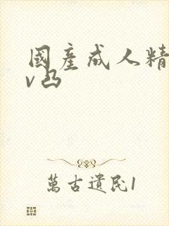 国产成人精品av凸封面