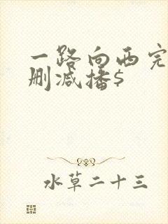 一路向西完整未删减播$封面