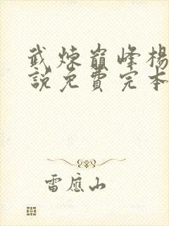 武炼巅峰杨开小说免费完本