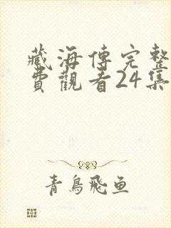 藏海传完整版免费观看24集