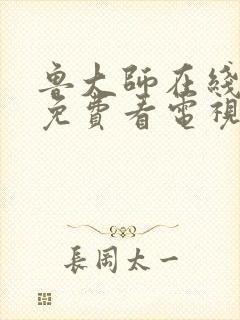 鲁大师在线影视免费看电视剧最新