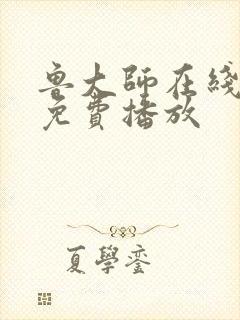 鲁大师在线播放免费播放