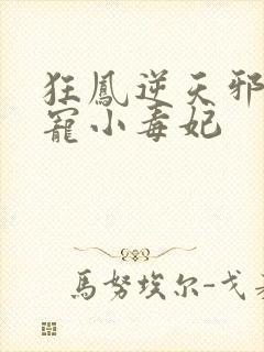 狂凤逆天邪王蚀宠小毒妃封面