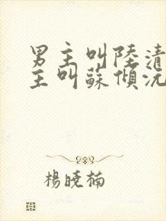 男主叫陆清衍女主叫苏倾沅的小说