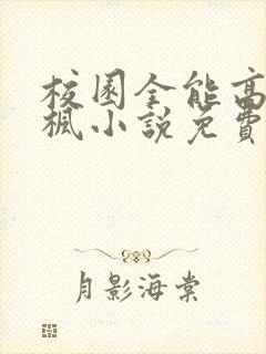 校园全能高手季枫小说免费下载