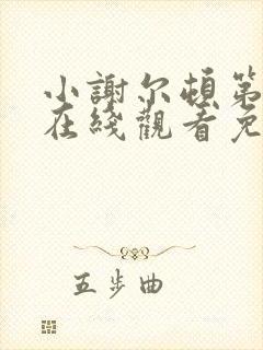 小谢尔顿第一季在线观看免费完整版