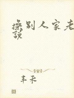 操别人家老婆小说封面