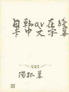 日韩av在线不卡中文字幕
