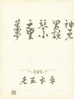 叶之琴男神进我梦里小说免费阅读封面