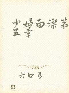 少妇白洁第二十五章