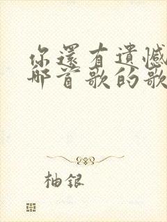 你还有遗憾吗是哪首歌的歌词封面