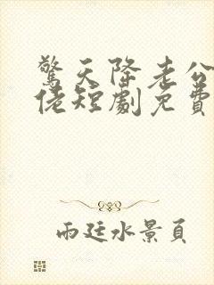 惊天降老公是大佬短剧免费观看封面