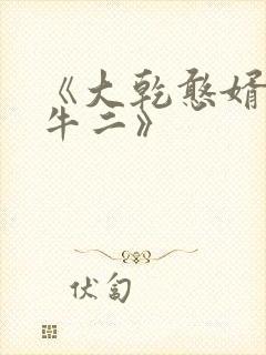 《大乾憨婿皖南牛二》封面