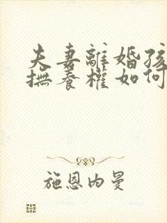 夫妻离婚孩子的抚养权如何判决