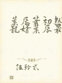 叶辰萧初然上门龙婿叶辰最新