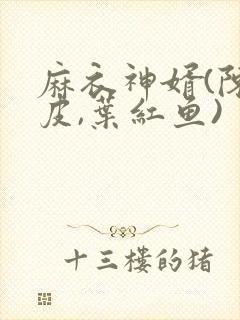 麻衣神婿(陈黄皮,叶红鱼)封面