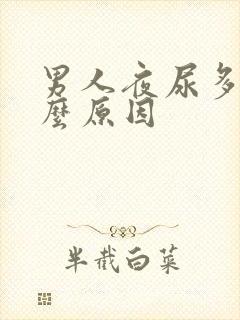 男人夜尿多是什么原因