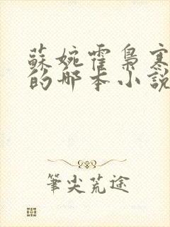 苏婉霍枭寒模仿的哪本小说封面