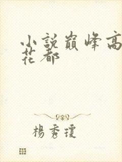 小说巅峰高手混花都