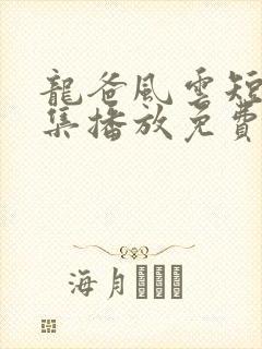 龙爸风云短剧全集播放免费观看