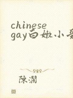 chinesegay白嫩小受