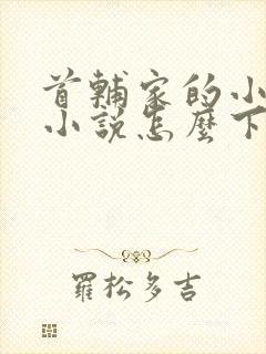 首辅家的小娇娘小说怎么下载封面