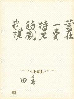 我的特一营 电视剧免费在线观看封面