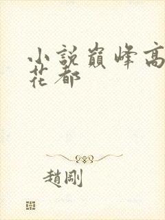 小说巅峰高手混花都