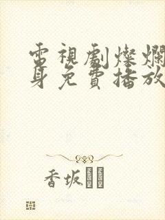 电视剧灿烂的转身免费播放