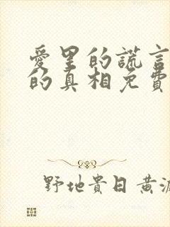 爱里的谎言仇恨的真相免费阅读