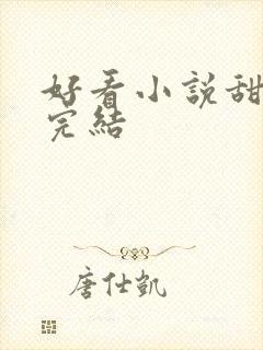 好看小说甜宠文完结封面