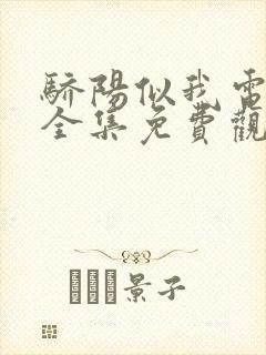 骄阳似我电视剧全集免费观看高清封面