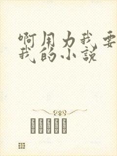 啊用力我要你给我的小说封面
