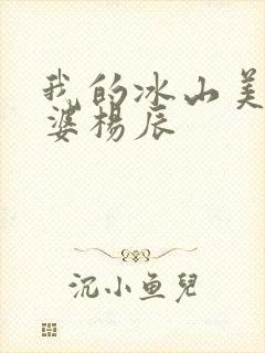 我的冰山美女老婆杨辰